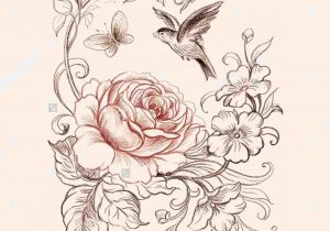 300x210 snapdragon flower drawing - Snapdragon Flower Drawing