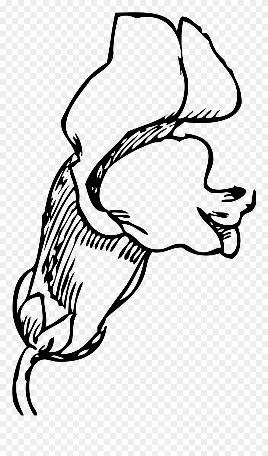 880x1496 snapdragon flower tattoo - Snapdragon Flower Drawing