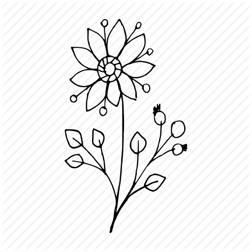 512x512 snapdragon flower illustration - Snapdragon Flower Drawing