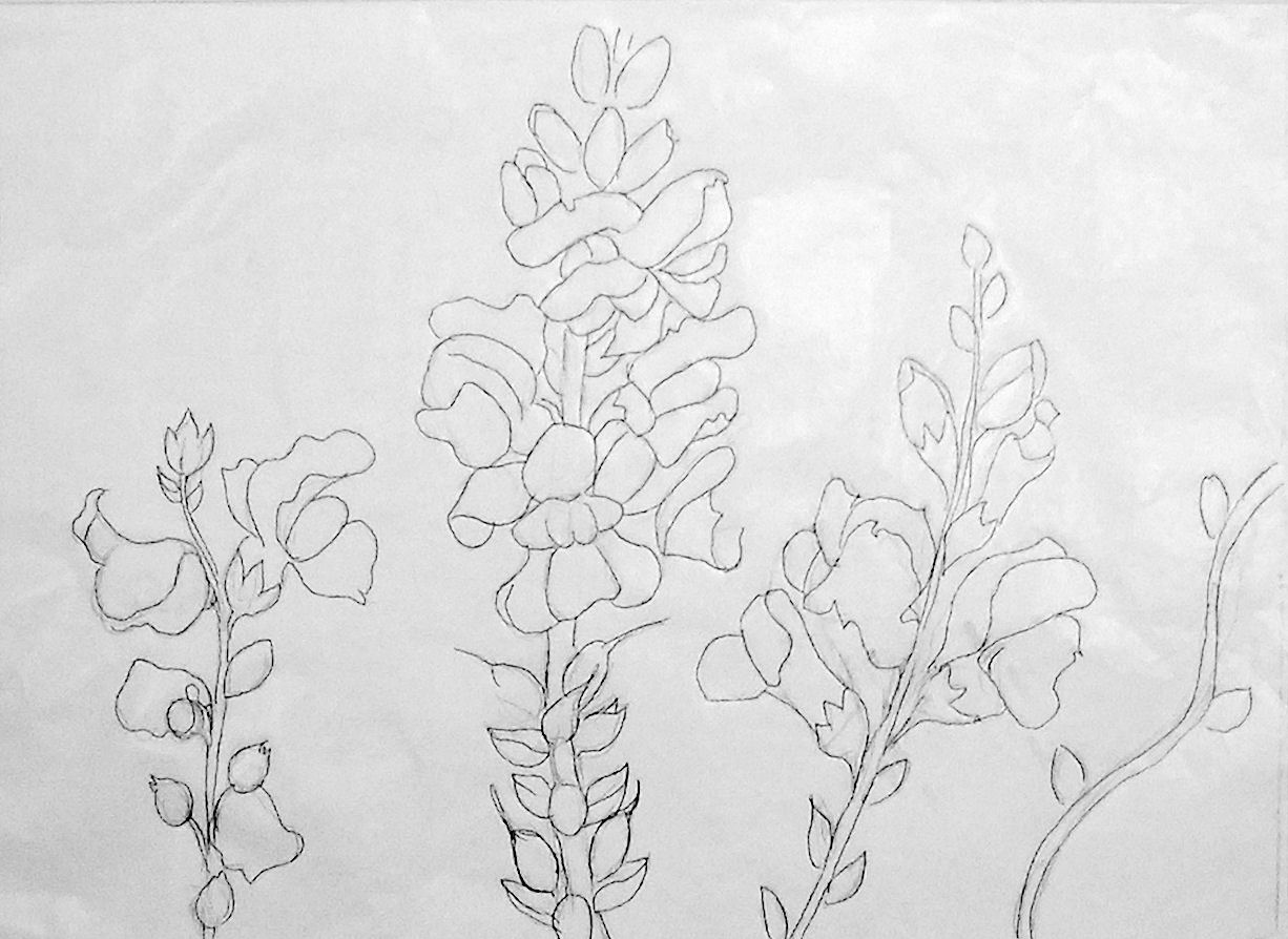 1226x894 how to paint snapdragons in watercolor the frugal crafter blog - Snapdragon Flower Drawing