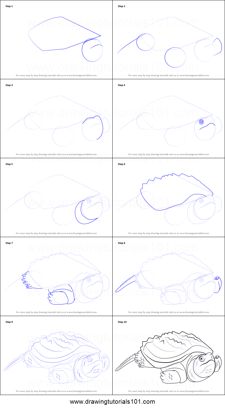751x1366 how to draw an alligator snapping turtle printable step - Snapping Turtle Drawing