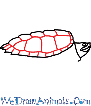 Snapping Turtle Drawing at PaintingValley.com | Explore collection of ...