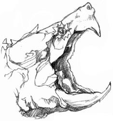 234x250 art wildlife in alligator - Snapping Turtle Drawing