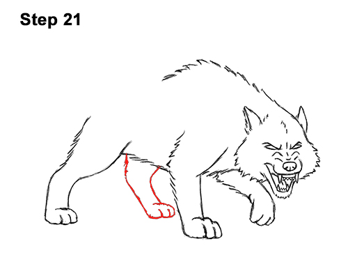 500x386 How To Draw A Wolf Growling - Snarling Wolf Drawing