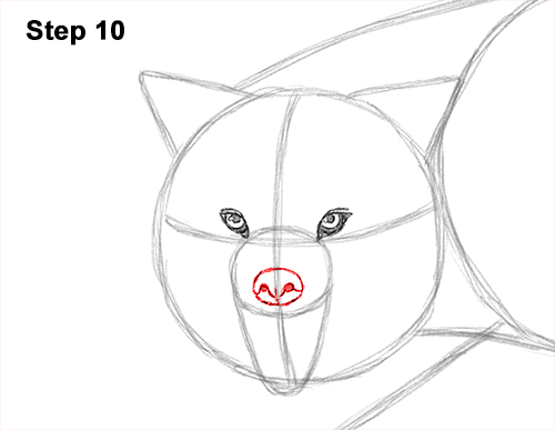 500x387 How To Draw A Wolf Growling - Snarling Wolf Drawing