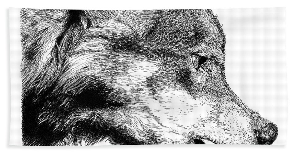 967x500 Snarling Wolf Beach Sheet For Sale - Snarling Wolf Drawing