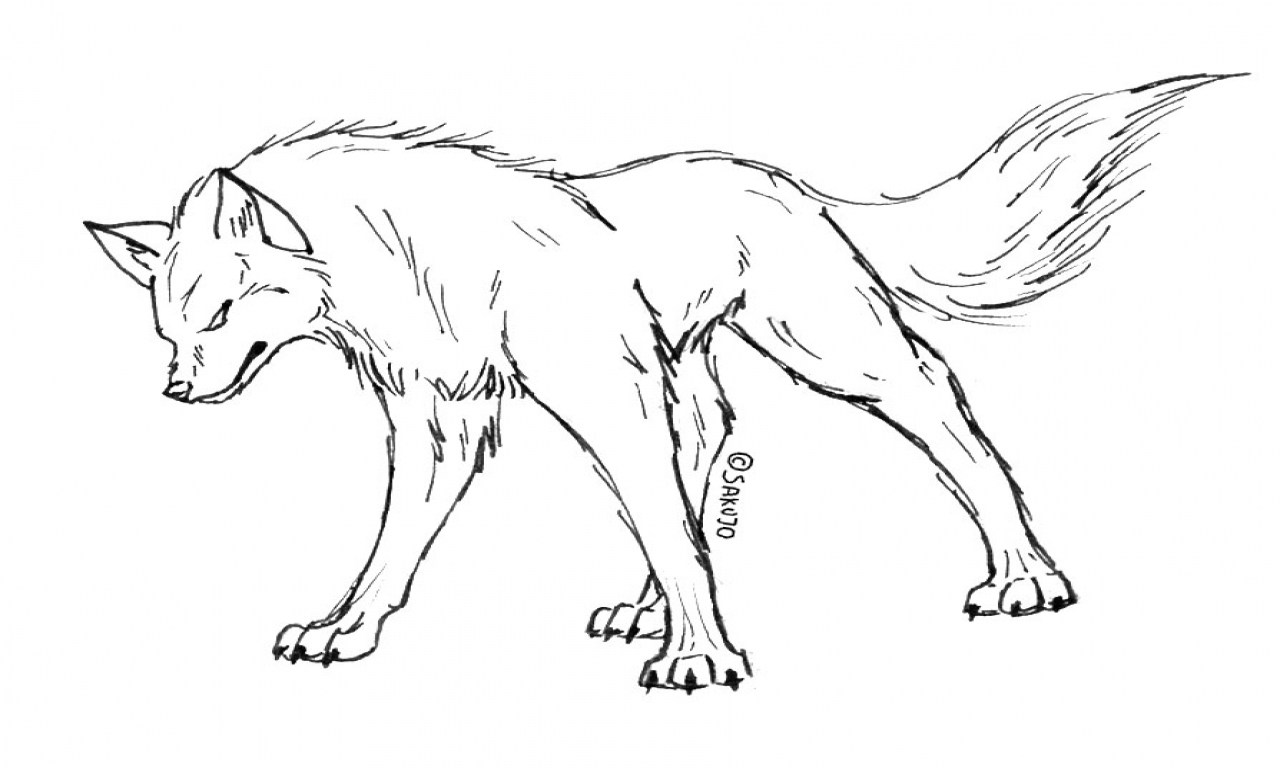 1280x768 Arresting How To Draw Pups Rhloongserversinfo A Sitting Step Need - Snarling Wolf Drawing