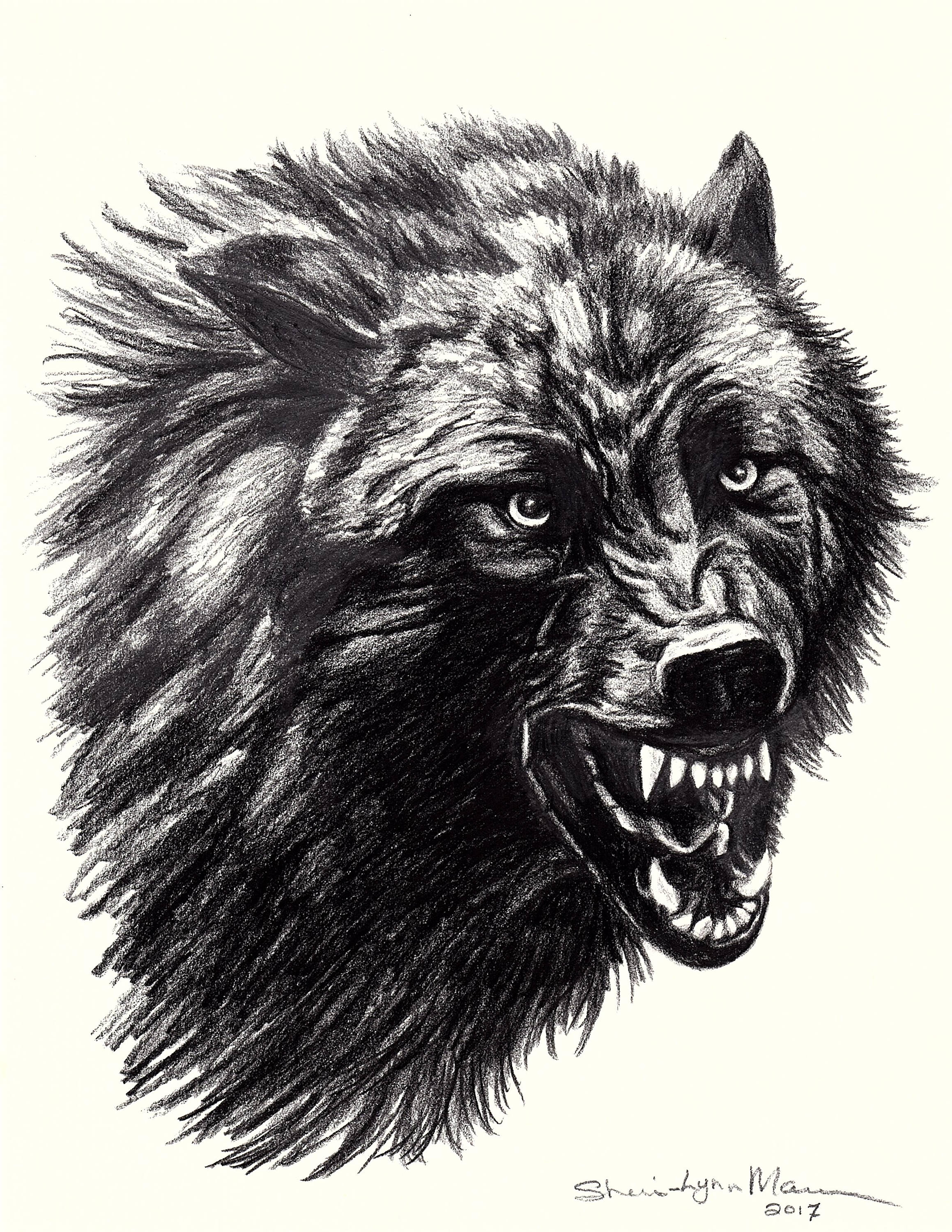 2318x3000 Black Wolf Snarling Wolves Christmas Gift Limited Edition Etsy - Snarling Wolf Drawing