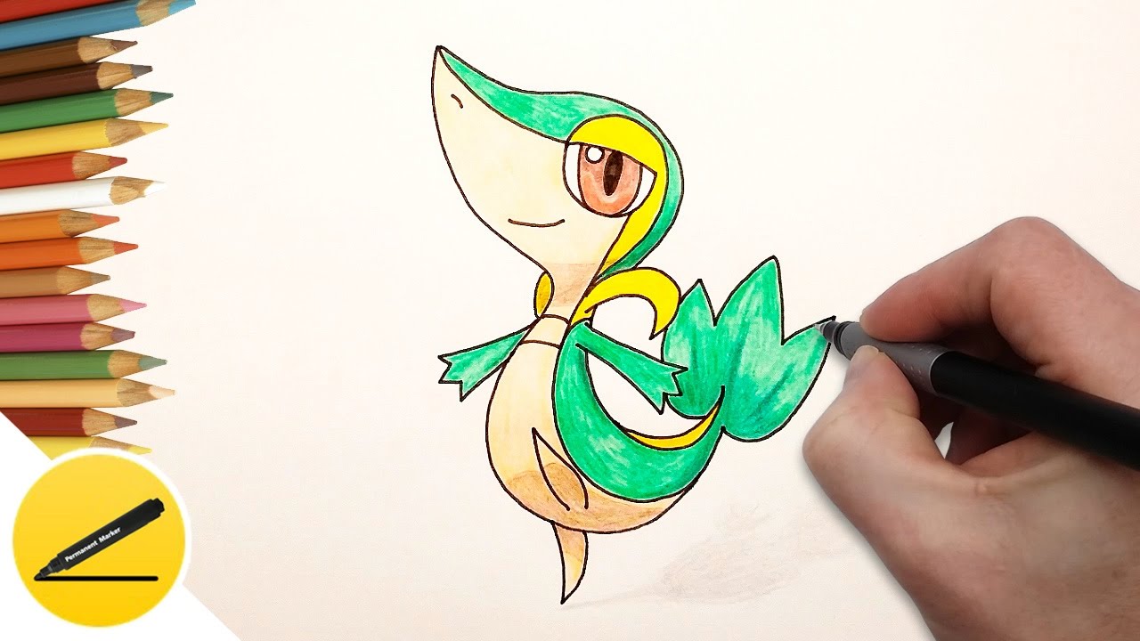 1280x720 How To Draw Snivy Pokemon Step - Snivy Drawing