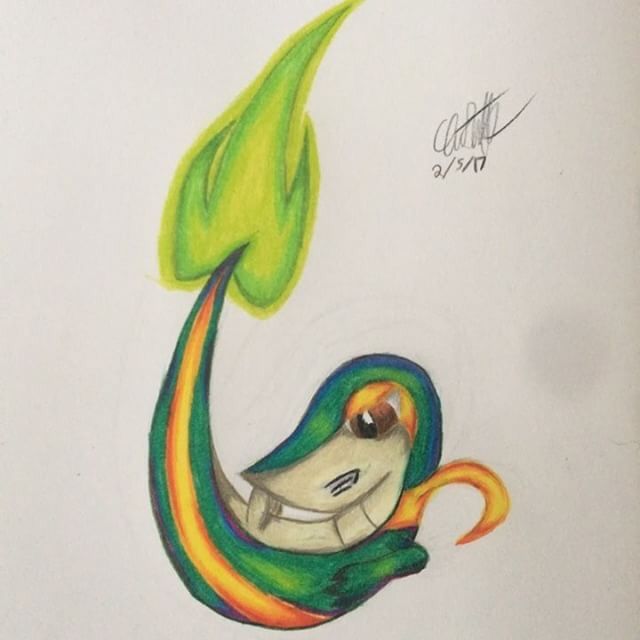 640x640 Leaf Blade Snivy Drawing Amino - Snivy Drawing