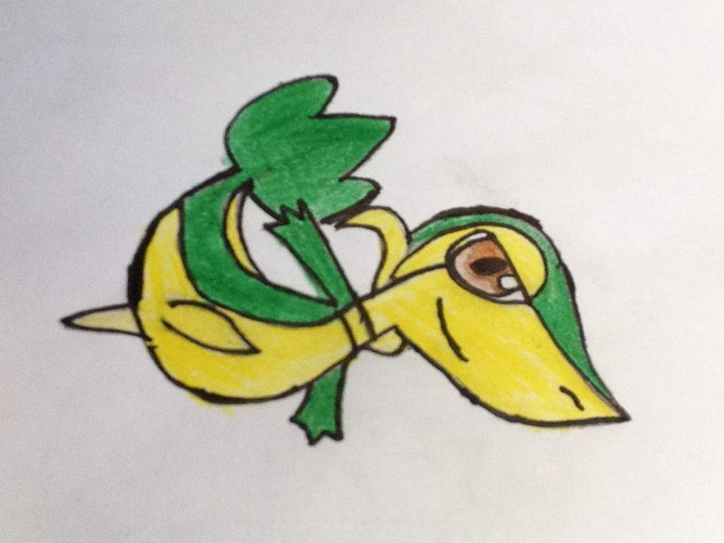 1024x768 Snivy Drawing! Amino - Snivy Drawing