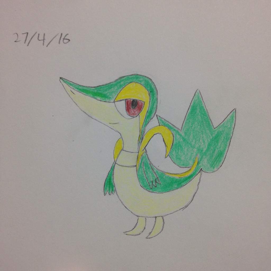 1024x1024 Snivy Drawing Amino - Snivy Drawing