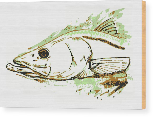 643x494 Snook Artwork Wood Print - Snook Drawing