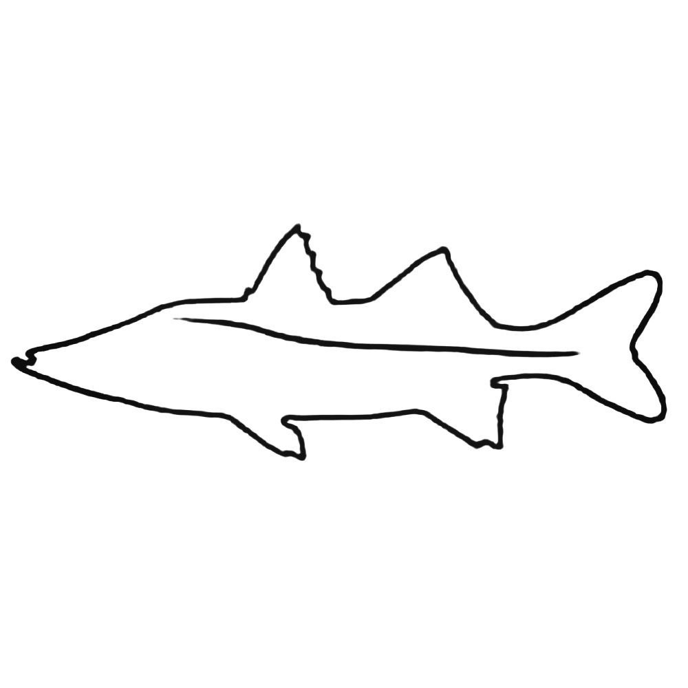 1000x1000 Snook Outline Decal Sticker - Snook Drawing