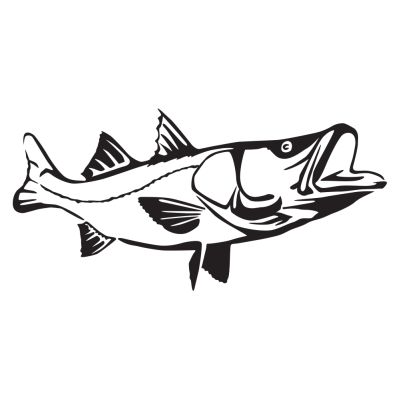400x400 Detailed Snook Decal - Snook Drawing