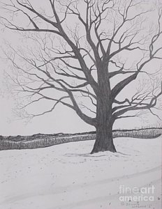 Snow Landscape Drawing at PaintingValley.com | Explore collection of ...