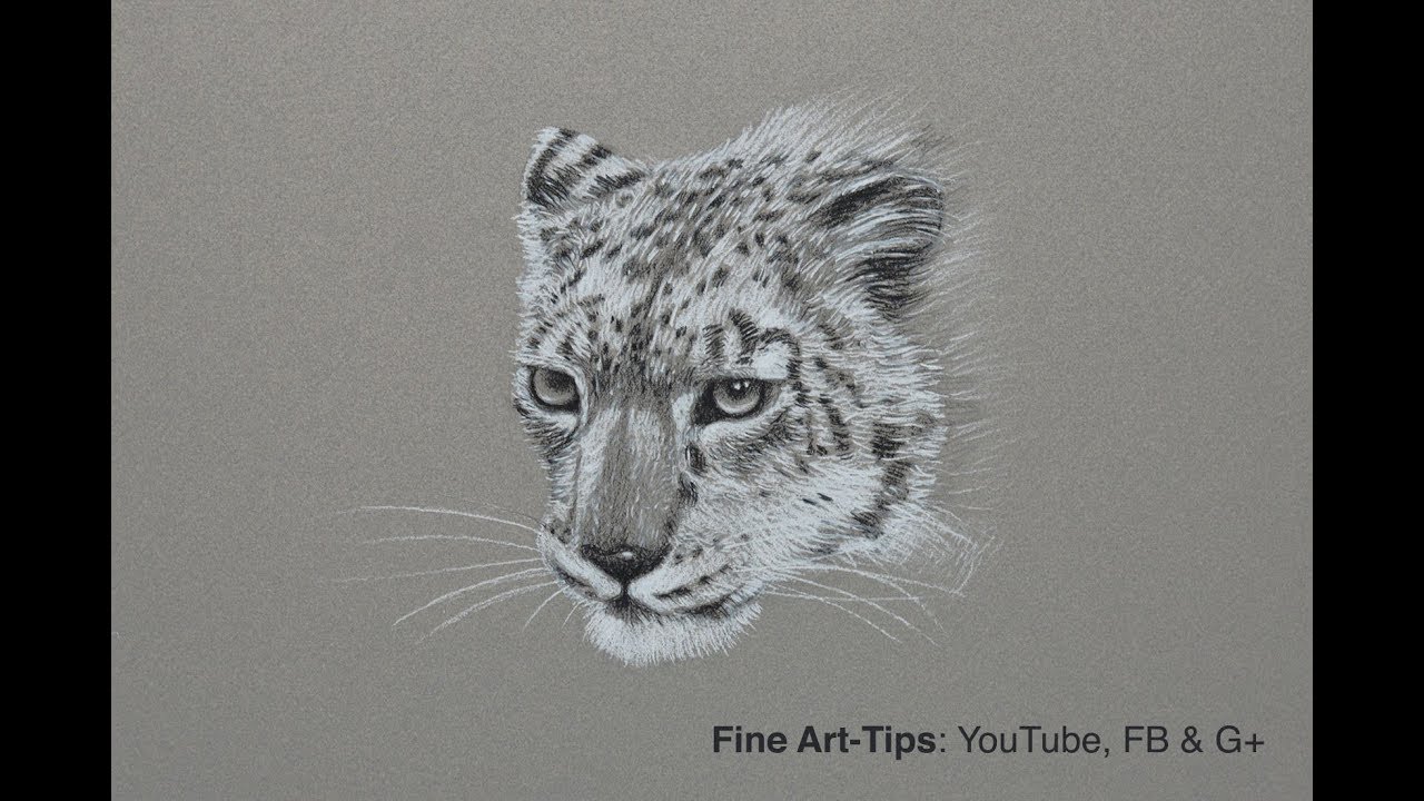 1280x720 How To Draw A Snow Leopard - Snow Leopard Drawing