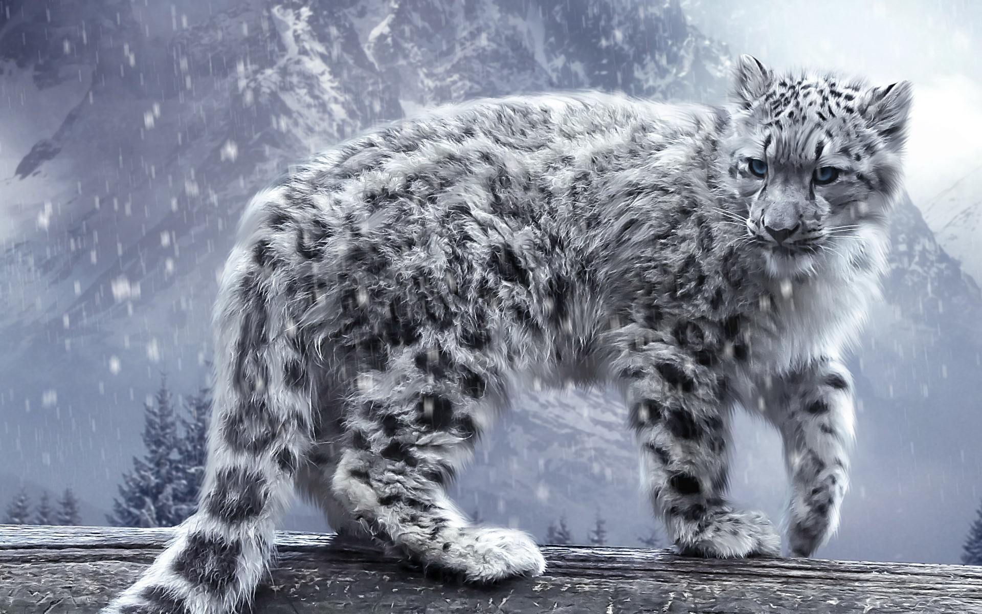 1920x1200 Snow Leopard Drawing Hd Wallpaper, Background Images - Snow Leopard Drawing