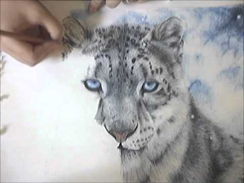 480x360 Speed Drawing - Snow Leopard Drawing
