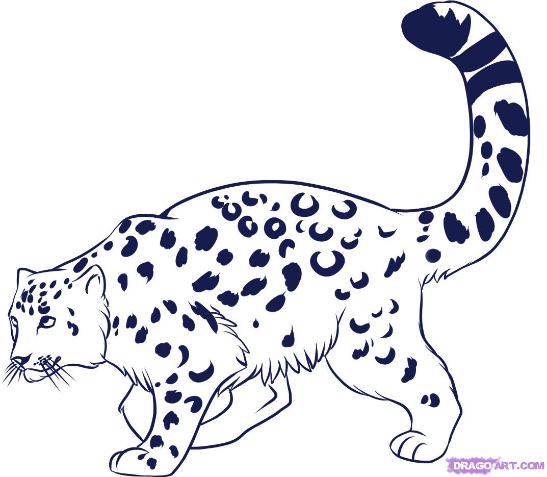 1073x935 How To Draw A Snow Leopard, Step - Snow Leopard Drawing