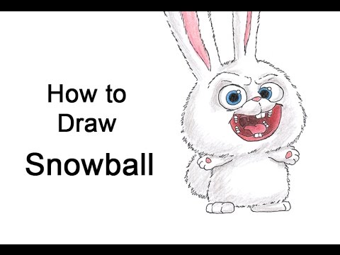 480x360 how to draw snowball from the secret life of pets - Snowball Drawing