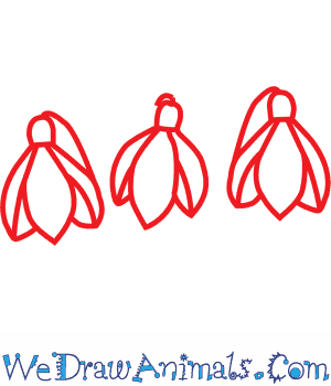 300x350 How To Draw A Snowdrop Flower - Snowdrop Flower Drawing