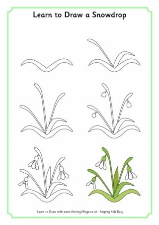 320x452 learn to draw a snowdrop draw flowers for kids drawings, learn - Snowdrop Flower Drawing