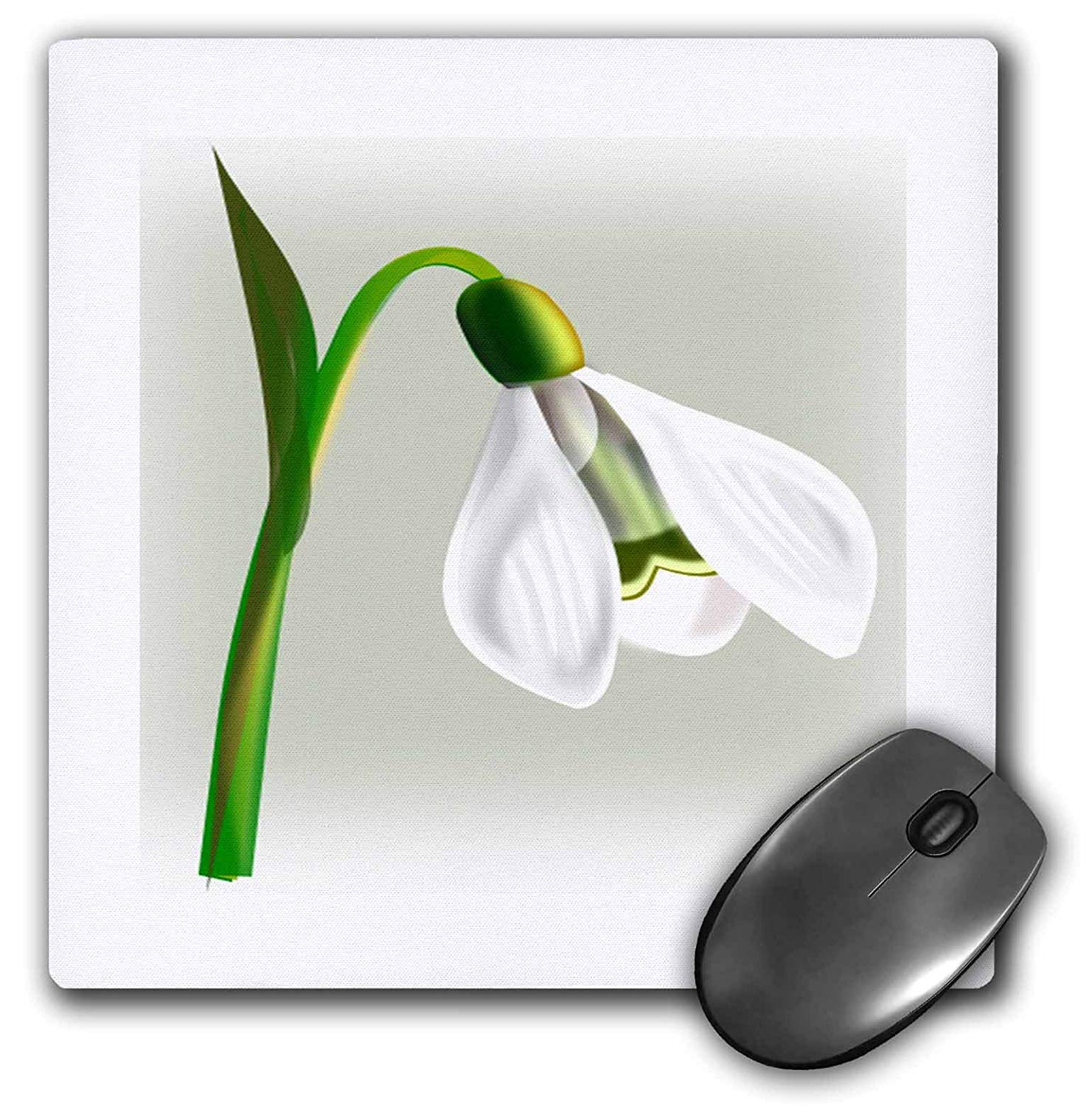 1481x1500 Print Of Snowdrop Flower Drawing - Snowdrop Flower Drawing