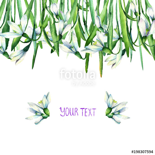 500x500 card for you,snowdrop,flower arrangement, watercolor floral set - Snowdrop Flower Drawing
