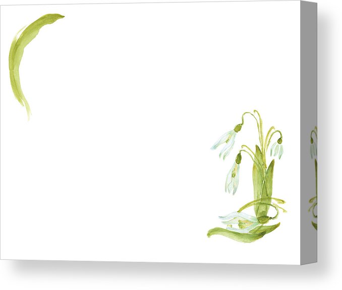 678x575 Hand Drawing Watercolor Snowdrop Flowers Canvas Print Canvas Art - Snowdrop Flower Drawing