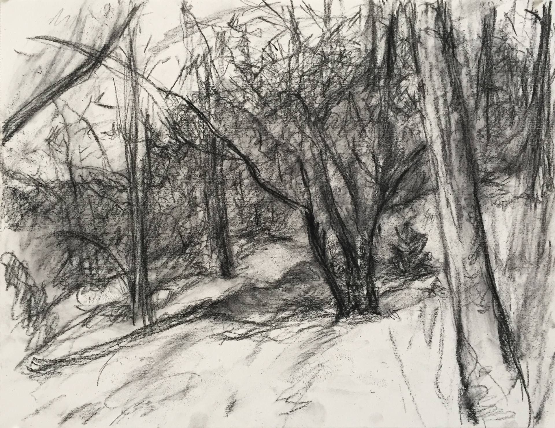 1920x1480 Snow From The Studio, Hambidge, Facing South Drawing - Snowfall Drawing