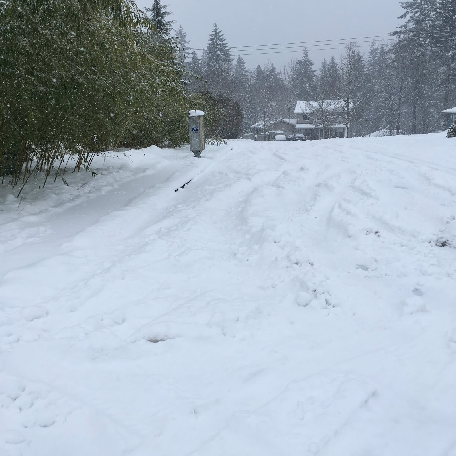 1600x1600 perfume project nw drawing for a snowstorm - Snowstorm Drawing