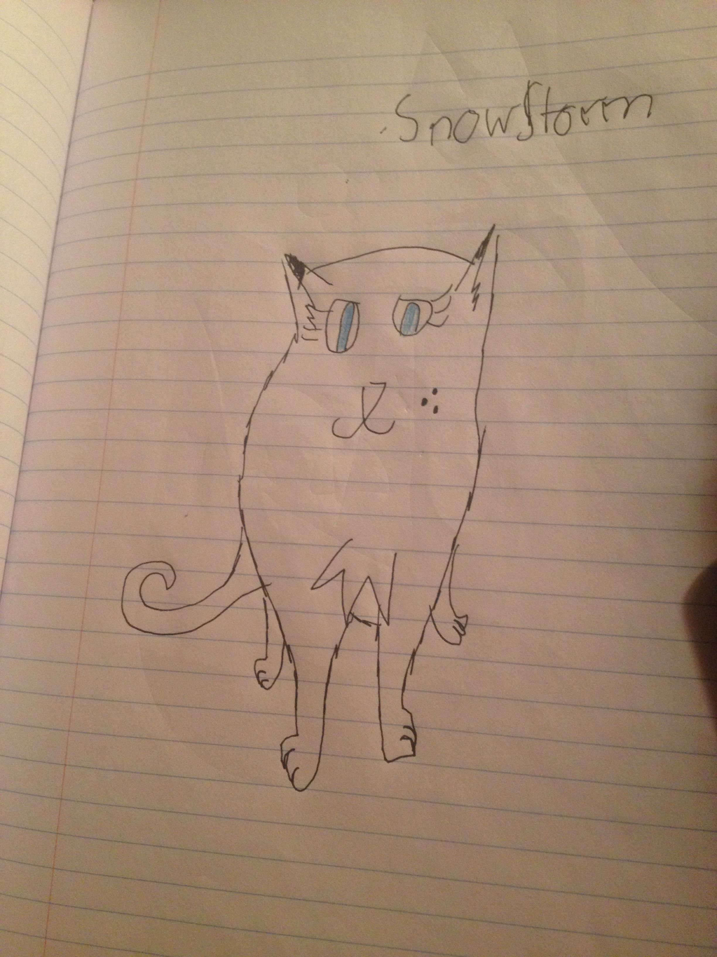 2448x3264 winner - Snowstorm Drawing