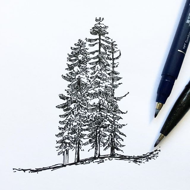 640x640 more snowy trees, i love drawing trees! - Snowy Tree Drawing