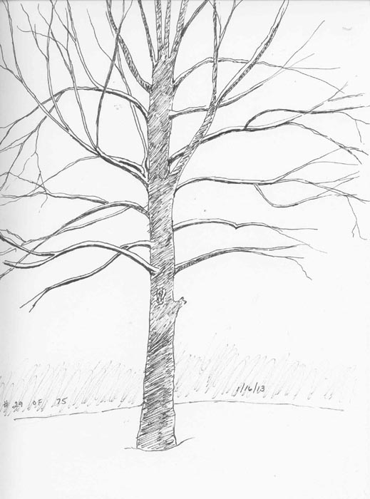 Snowy Tree Drawing at Explore collection of Snowy