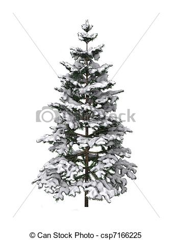 337x470 Pine Tree Covered In Snow - Snowy Tree Drawing