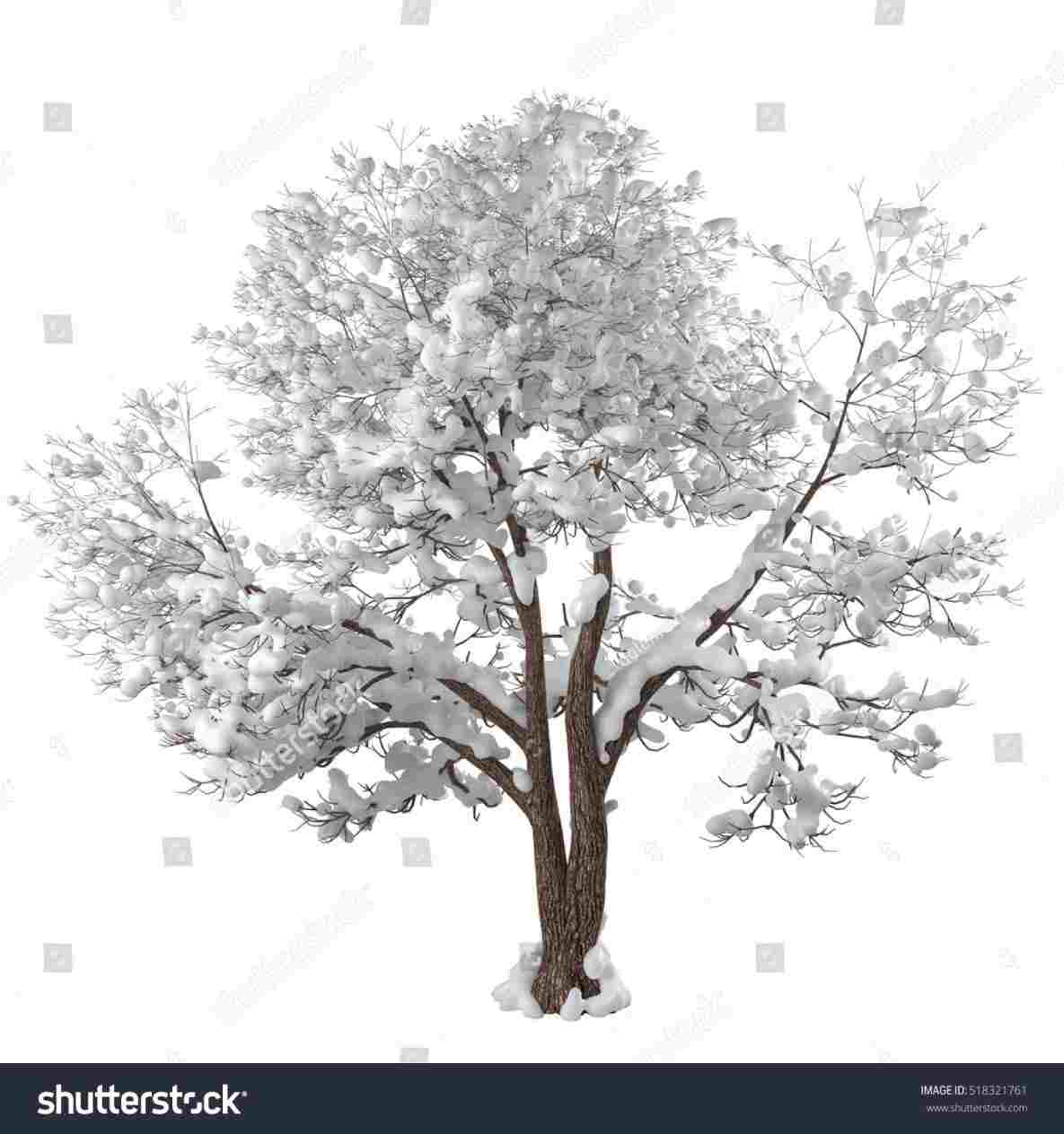 Snowy Tree Drawing at PaintingValley.com | Explore collection of Snowy ...