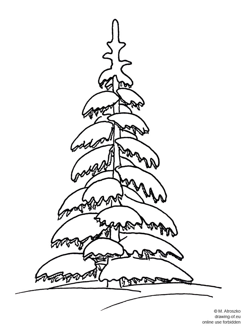 800x1073 Drawing Of Snowy Tree Drawing Of Eu - Snowy Tree Drawing