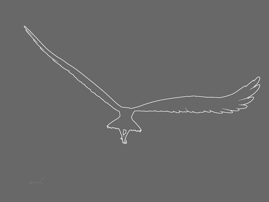 900x675 Soaring Eagle Drawing - Soaring Eagle Drawing