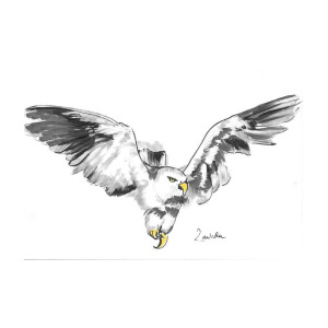 300x300 Soaring Eagle Drawing - Soaring Eagle Drawing