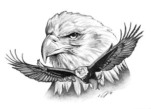 300x217 Soaring Eagle Drawings Fine Art America - Soaring Eagle Drawing