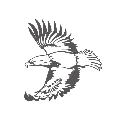 380x380 Soaring Eagle Tattoos - Soaring Eagle Drawing