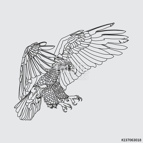 Soaring Eagle Drawing at PaintingValley.com | Explore collection of ...