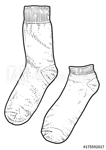 354x500 socks illustration, drawing, engraving, ink, line art, vector - Sock Drawing