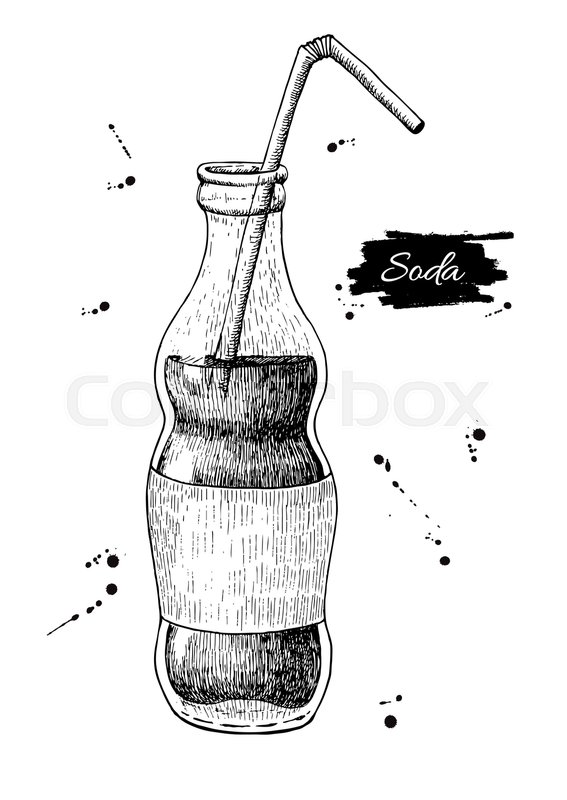 567x800 vector soda drawing hand drawn soda stock vector colourbox - Soda Bottle Drawing
