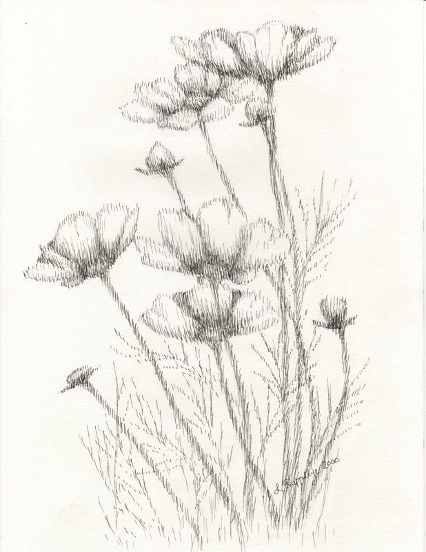 618x800 image gallery soft drawing - Soft Drawing