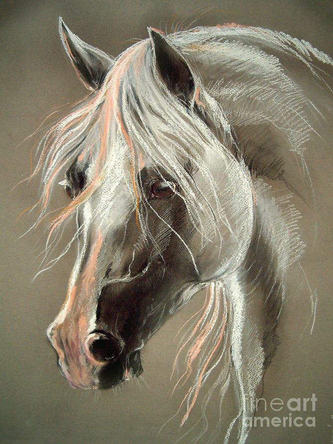 675x900 the grey horse soft pastel drawing - Soft Drawing