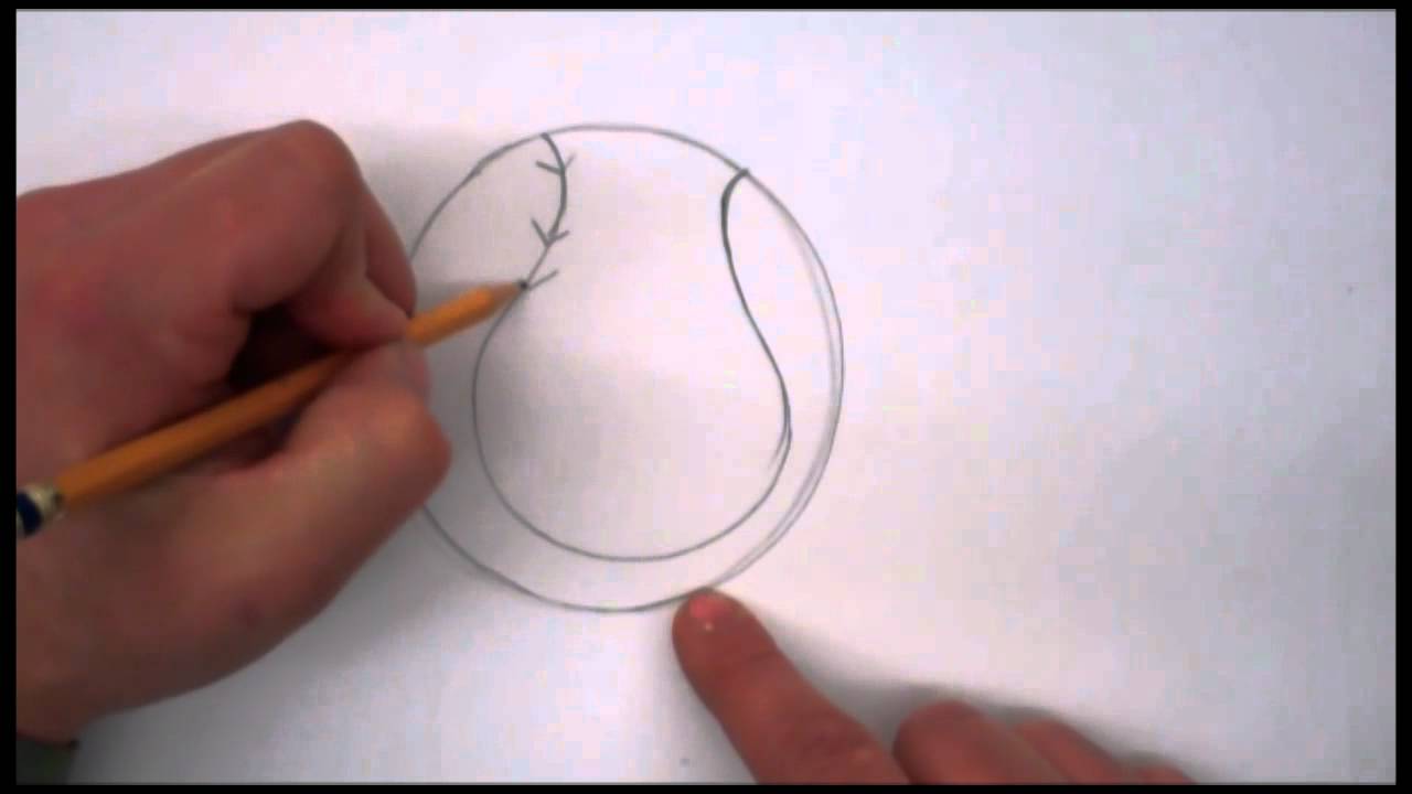 1280x720 softball with broken glass - Softball Drawing