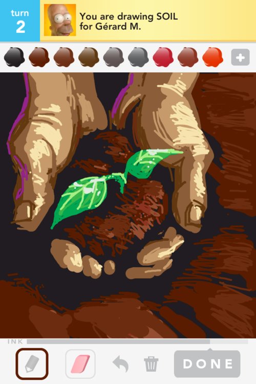 500x750 soil drawings - Soil Drawing