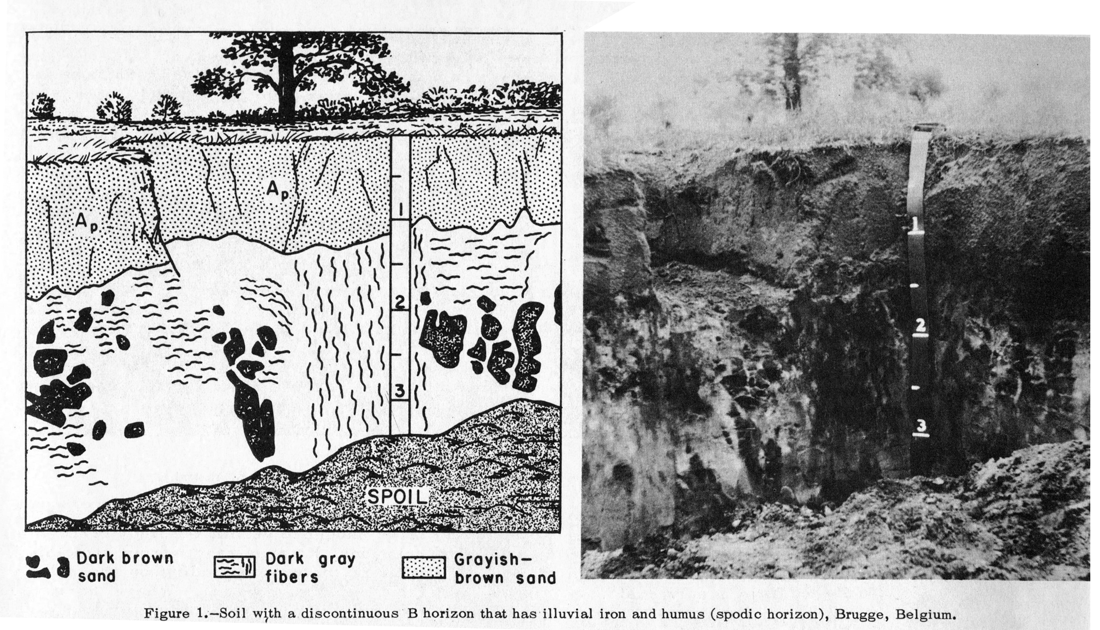2268x1300 what is a soil drawings from the approximation - Soil Drawing
